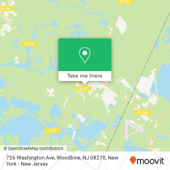 726 Washington Ave, Woodbine, NJ 08270 map