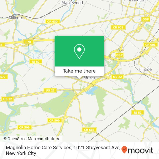 Mapa de Magnolia Home Care Services, 1021 Stuyvesant Ave