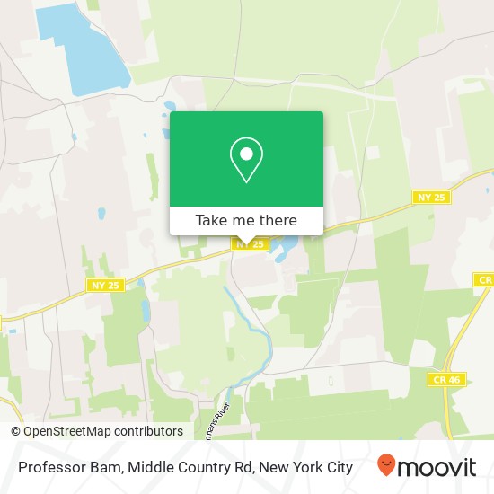 Professor Bam, Middle Country Rd map