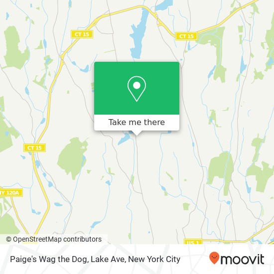 Mapa de Paige's Wag the Dog, Lake Ave