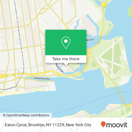 Mapa de Eaton Cyrus, Brooklyn, NY 11229