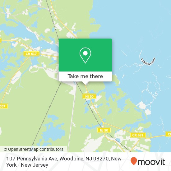Mapa de 107 Pennsylvania Ave, Woodbine, NJ 08270