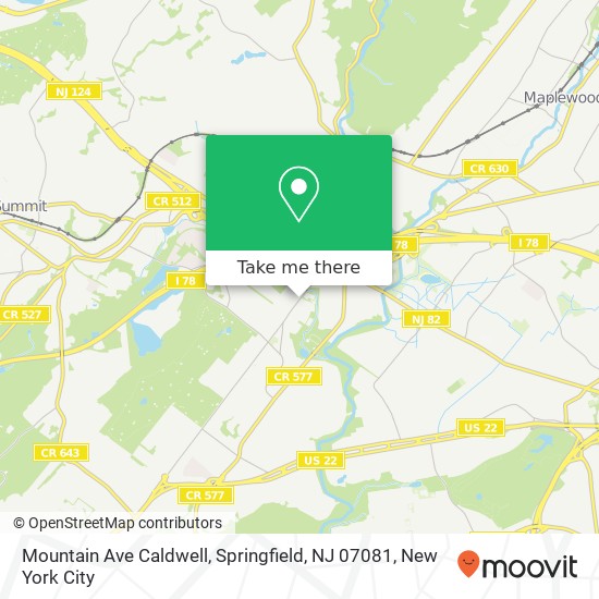 Mapa de Mountain Ave Caldwell, Springfield, NJ 07081