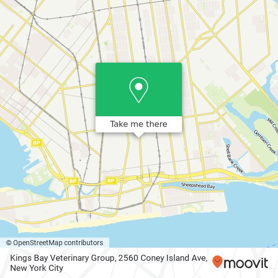 Mapa de Kings Bay Veterinary Group, 2560 Coney Island Ave