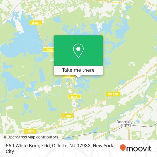 Mapa de 560 White Bridge Rd, Gillette, NJ 07933