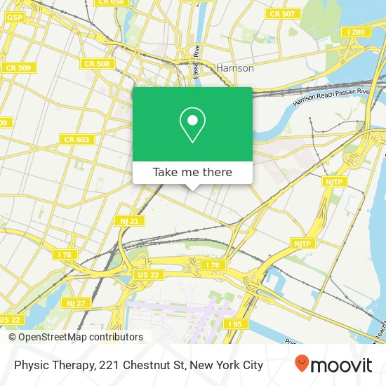 Physic Therapy, 221 Chestnut St map