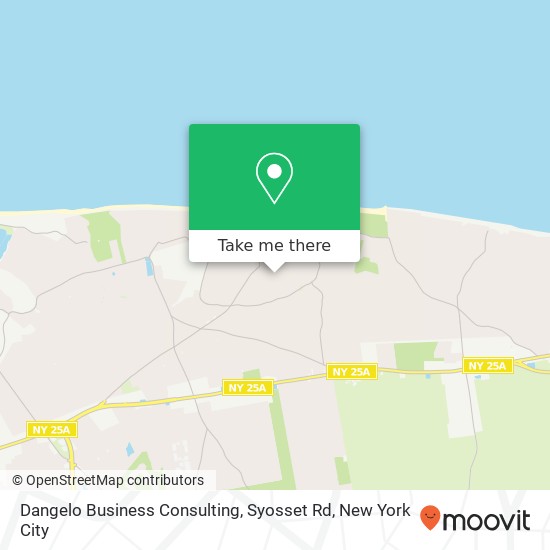 Mapa de Dangelo Business Consulting, Syosset Rd
