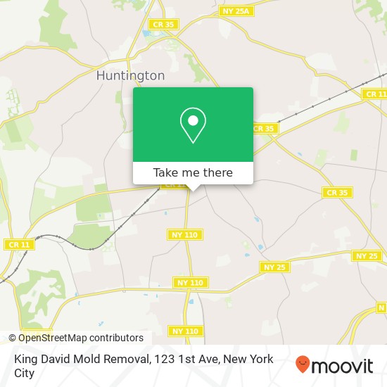 King David Mold Removal, 123 1st Ave map