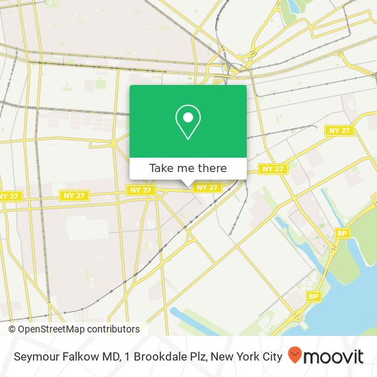 Seymour Falkow MD, 1 Brookdale Plz map