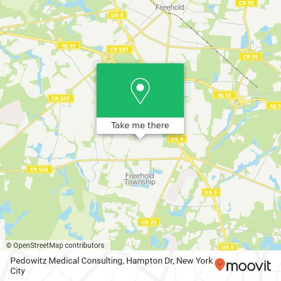 Pedowitz Medical Consulting, Hampton Dr map