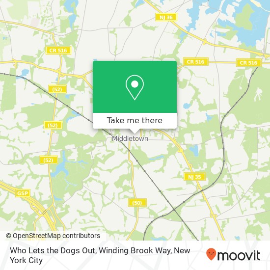 Who Lets the Dogs Out, Winding Brook Way map