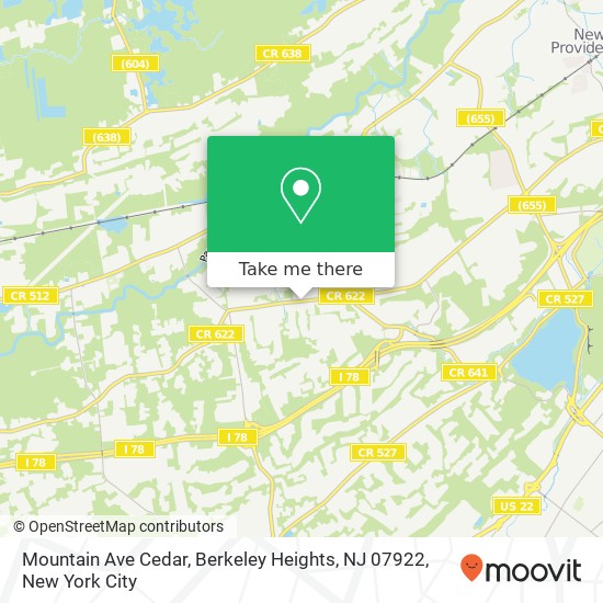 Mountain Ave Cedar, Berkeley Heights, NJ 07922 map