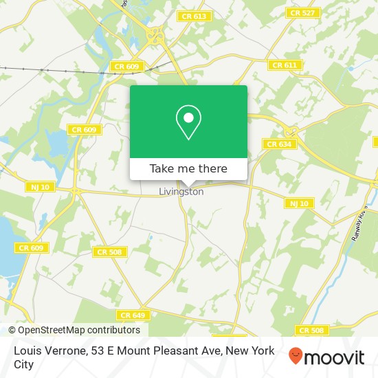 Louis Verrone, 53 E Mount Pleasant Ave map