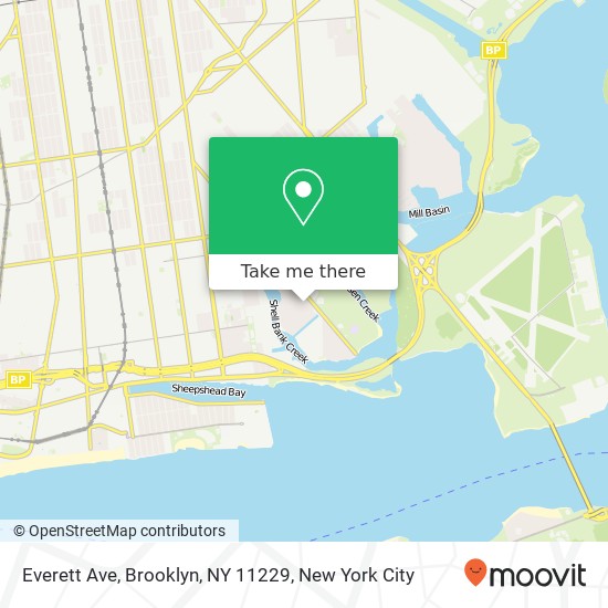 Mapa de Everett Ave, Brooklyn, NY 11229