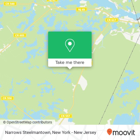 Mapa de Narrows Steelmantown, Woodbine, NJ 08270