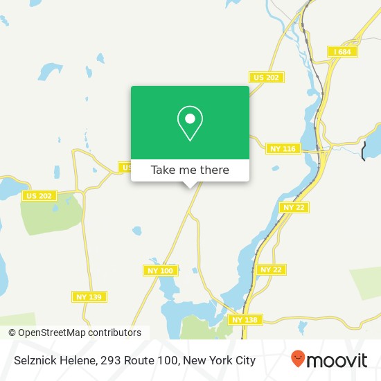 Selznick Helene, 293 Route 100 map