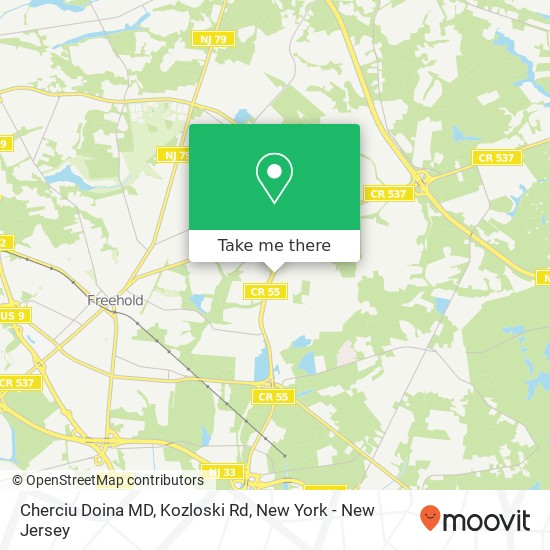 Mapa de Cherciu Doina MD, Kozloski Rd