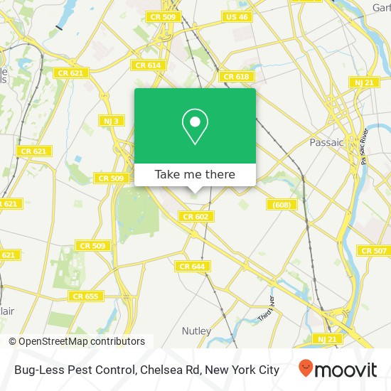 Bug-Less Pest Control, Chelsea Rd map