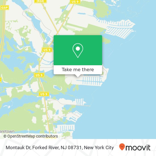 Montauk Dr, Forked River, NJ 08731 map