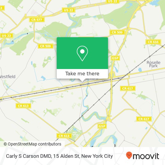 Carly S Carson DMD, 15 Alden St map