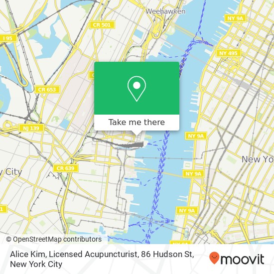 Alice Kim, Licensed Acupuncturist, 86 Hudson St map