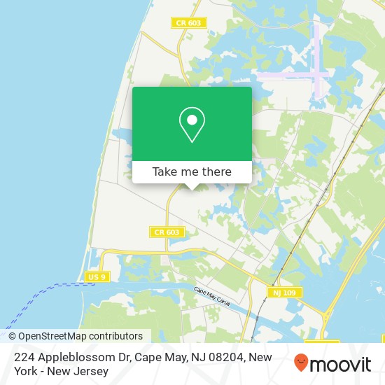 Mapa de 224 Appleblossom Dr, Cape May, NJ 08204