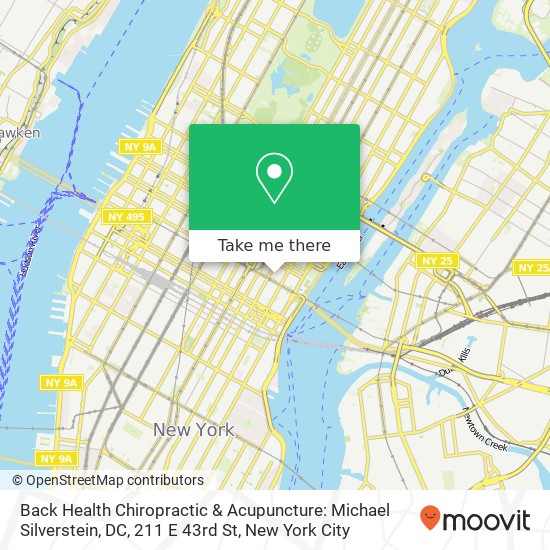 Mapa de Back Health Chiropractic & Acupuncture: Michael Silverstein, DC, 211 E 43rd St