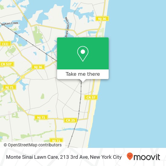 Mapa de Monte Sinai Lawn Care, 213 3rd Ave