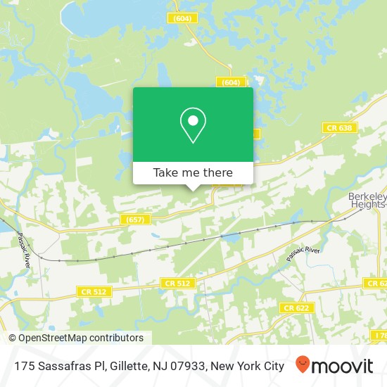 Mapa de 175 Sassafras Pl, Gillette, NJ 07933