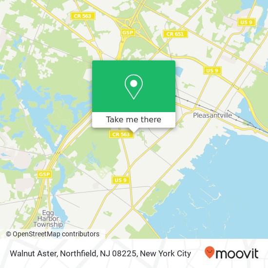 Mapa de Walnut Aster, Northfield, NJ 08225
