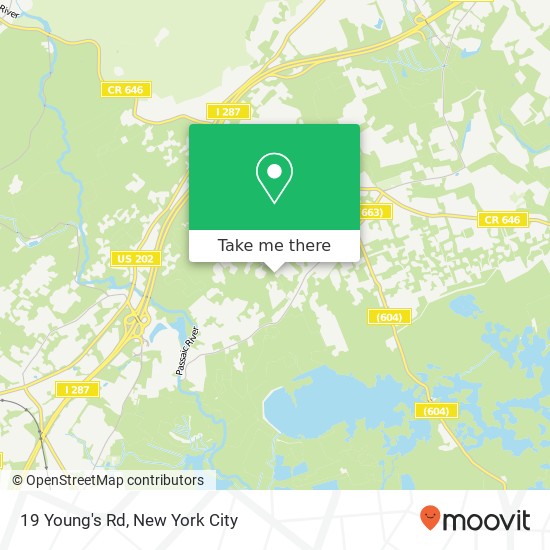 19 Young's Rd, Basking Ridge, NJ 07920 map
