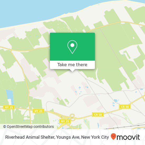 Mapa de Riverhead Animal Shelter, Youngs Ave