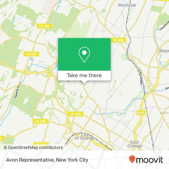 Avon Representative map