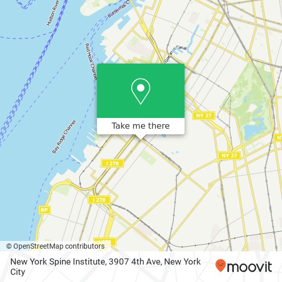 New York Spine Institute, 3907 4th Ave map