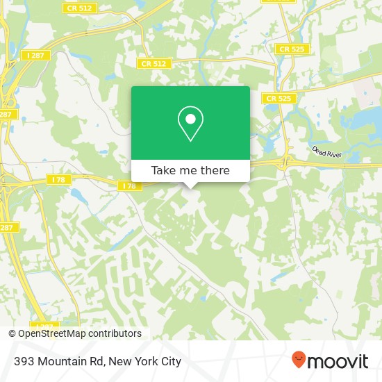 Mapa de 393 Mountain Rd, Basking Ridge, NJ 07920