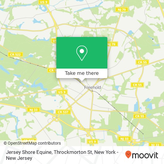 Jersey Shore Equine, Throckmorton St map