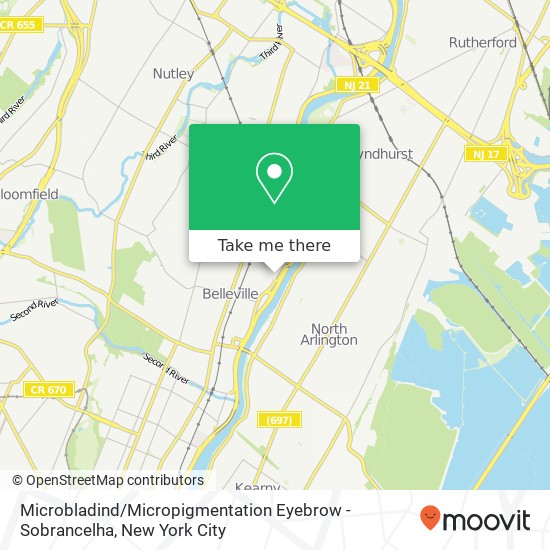 Mapa de Microbladind / Micropigmentation Eyebrow - Sobrancelha