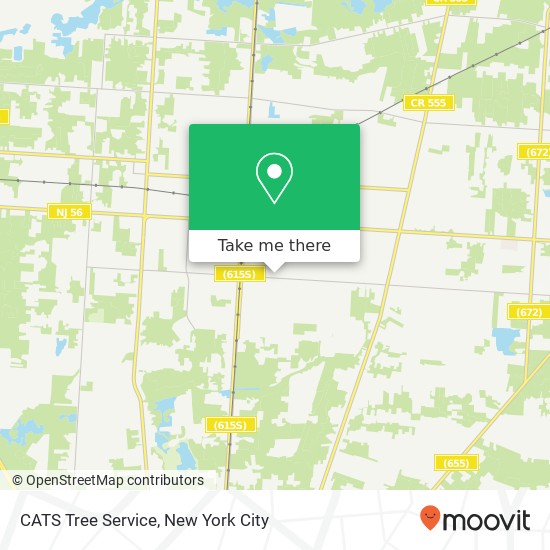 CATS Tree Service, 718 E Chestnut Ave map