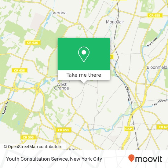 Youth Consultation Service map