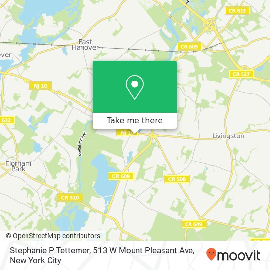Mapa de Stephanie P Tettemer, 513 W Mount Pleasant Ave
