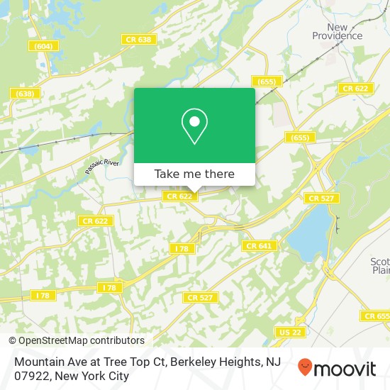 Mapa de Mountain Ave at Tree Top Ct, Berkeley Heights, NJ 07922