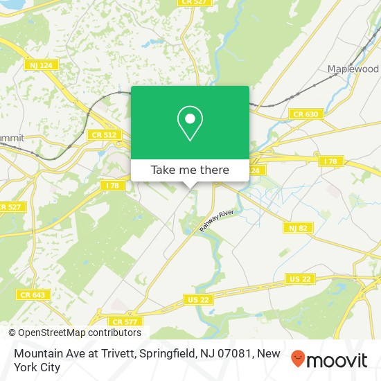 Mountain Ave at Trivett, Springfield, NJ 07081 map