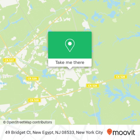 49 Bridget Ct, New Egypt, NJ 08533 map