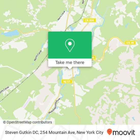 Steven Gutkin DC, 254 Mountain Ave map