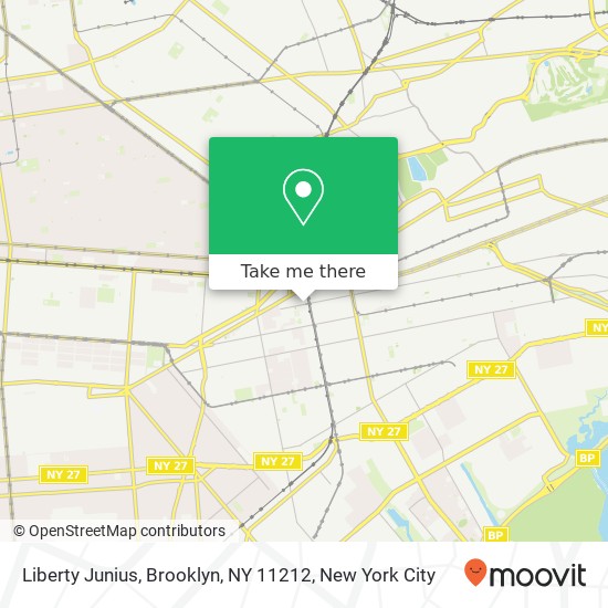 Liberty Junius, Brooklyn, NY 11212 map