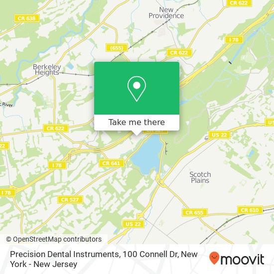 Mapa de Precision Dental Instruments, 100 Connell Dr
