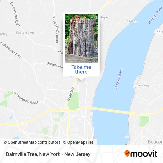 Balmville Tree map