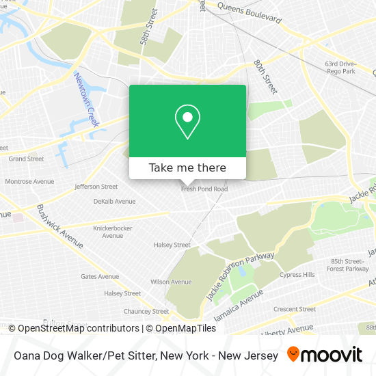 Mapa de Oana Dog Walker/Pet Sitter