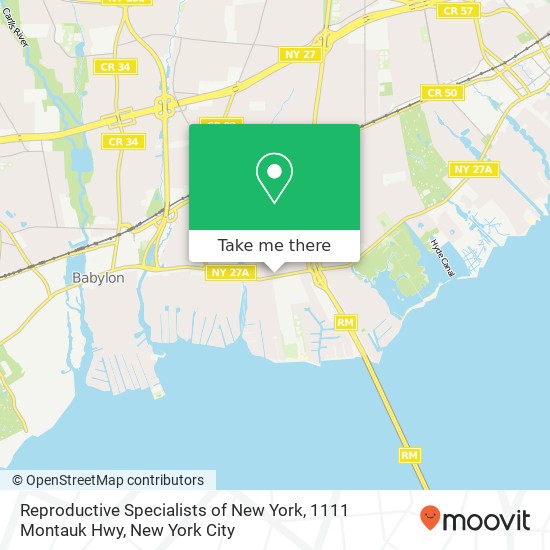Mapa de Reproductive Specialists of New York, 1111 Montauk Hwy