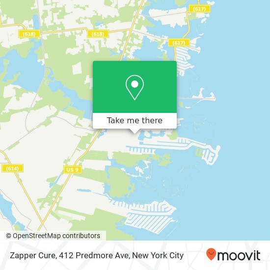 Mapa de Zapper Cure, 412 Predmore Ave